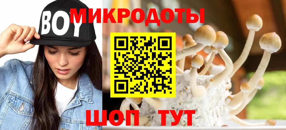 Соликамск  Псилоцибиновые грибы Magic Shrooms  Псилоцибиновые грибы Cubensis  Вход с VPN 